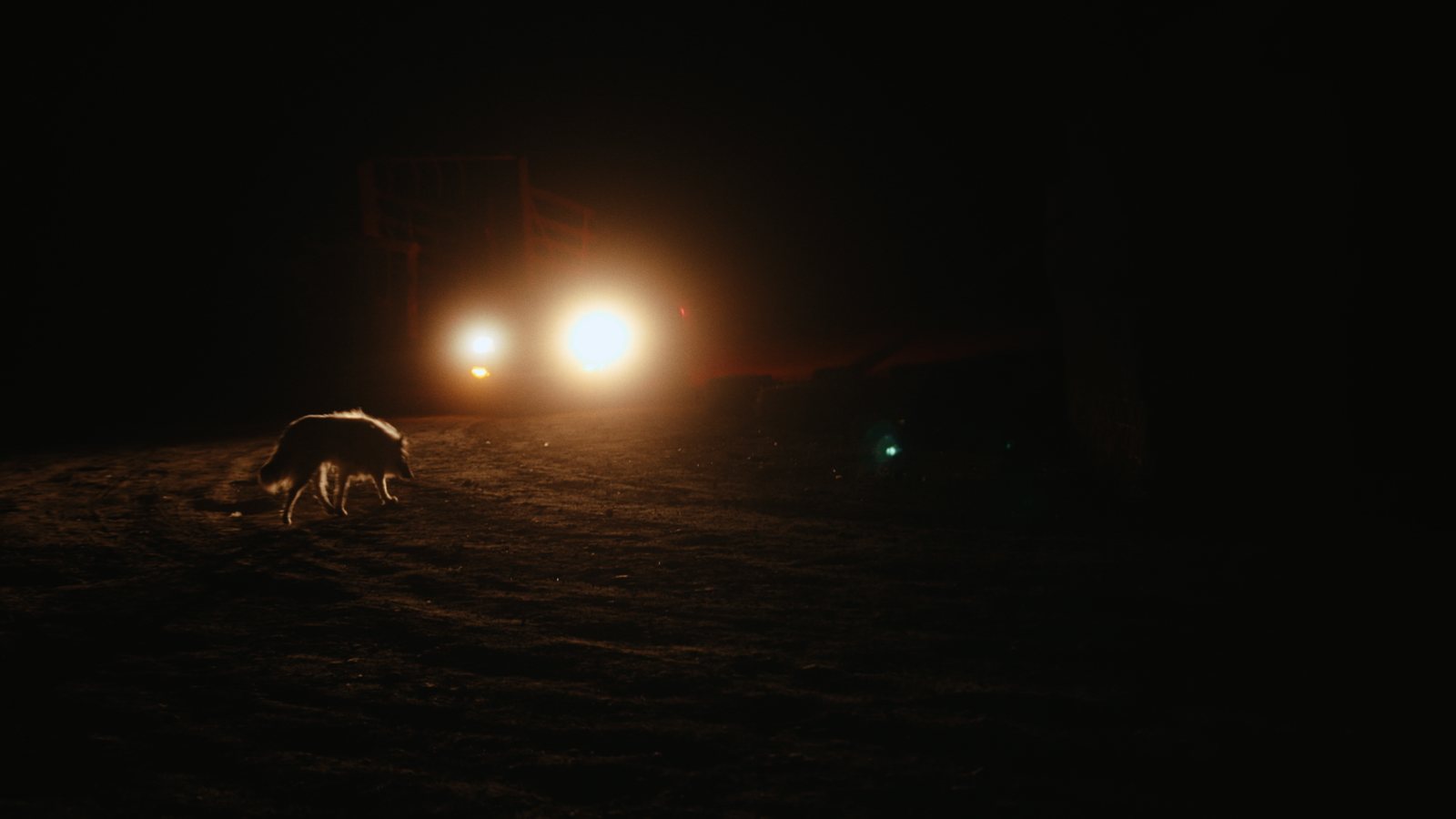 Chasing Sundance still