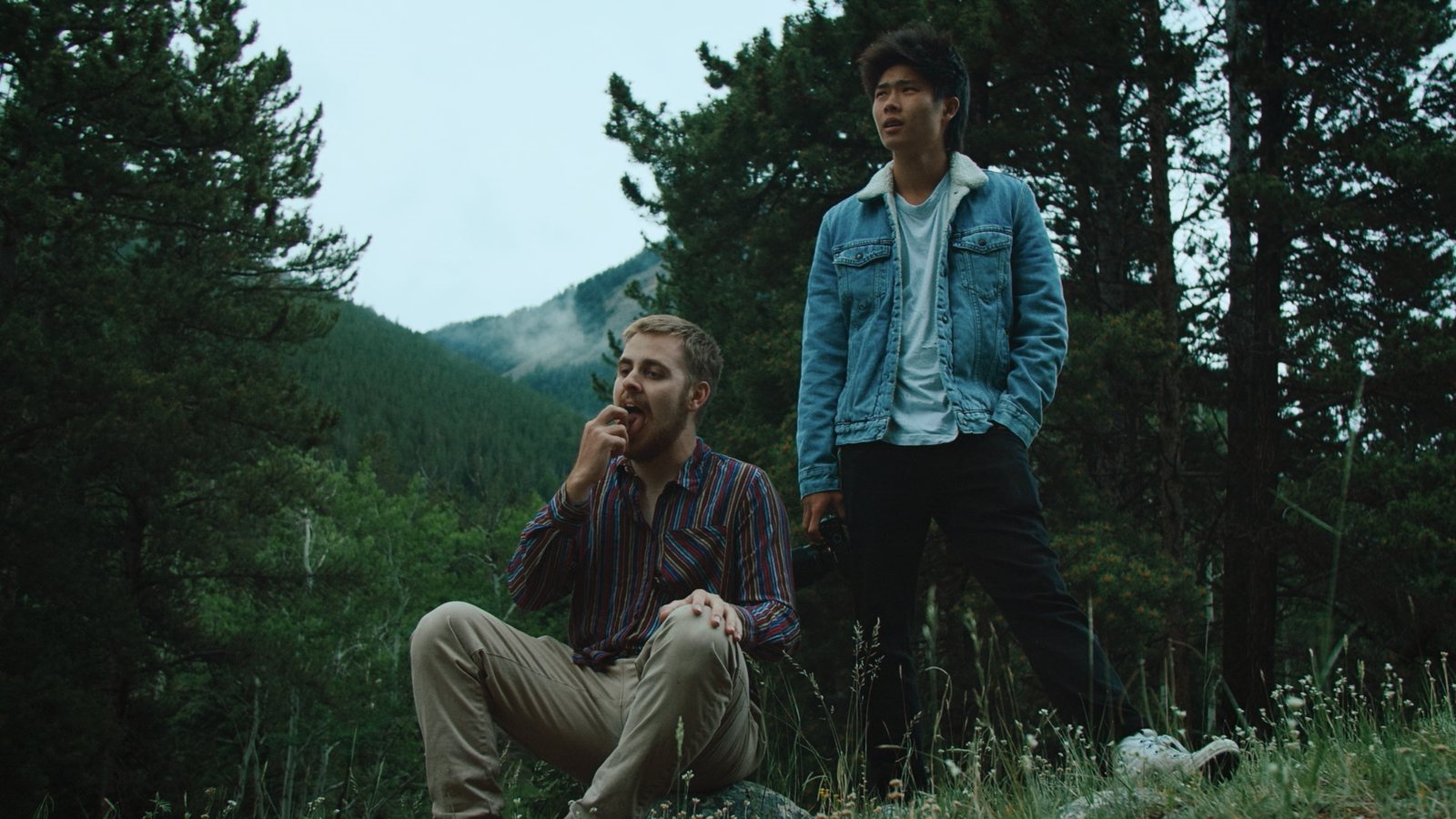 Chasing Sundance still