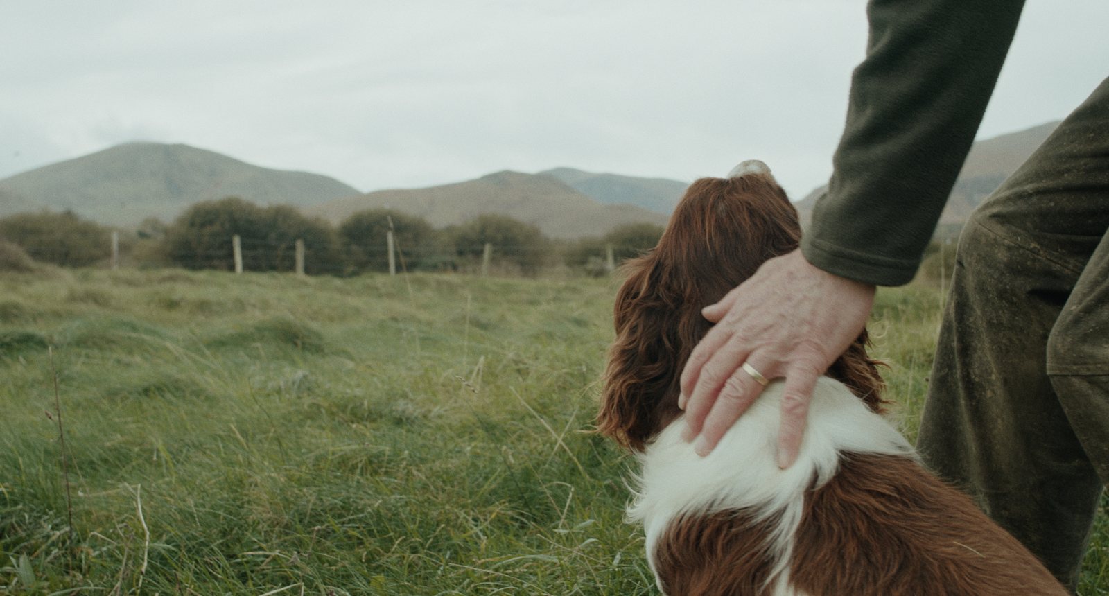Frank and His Dogs still