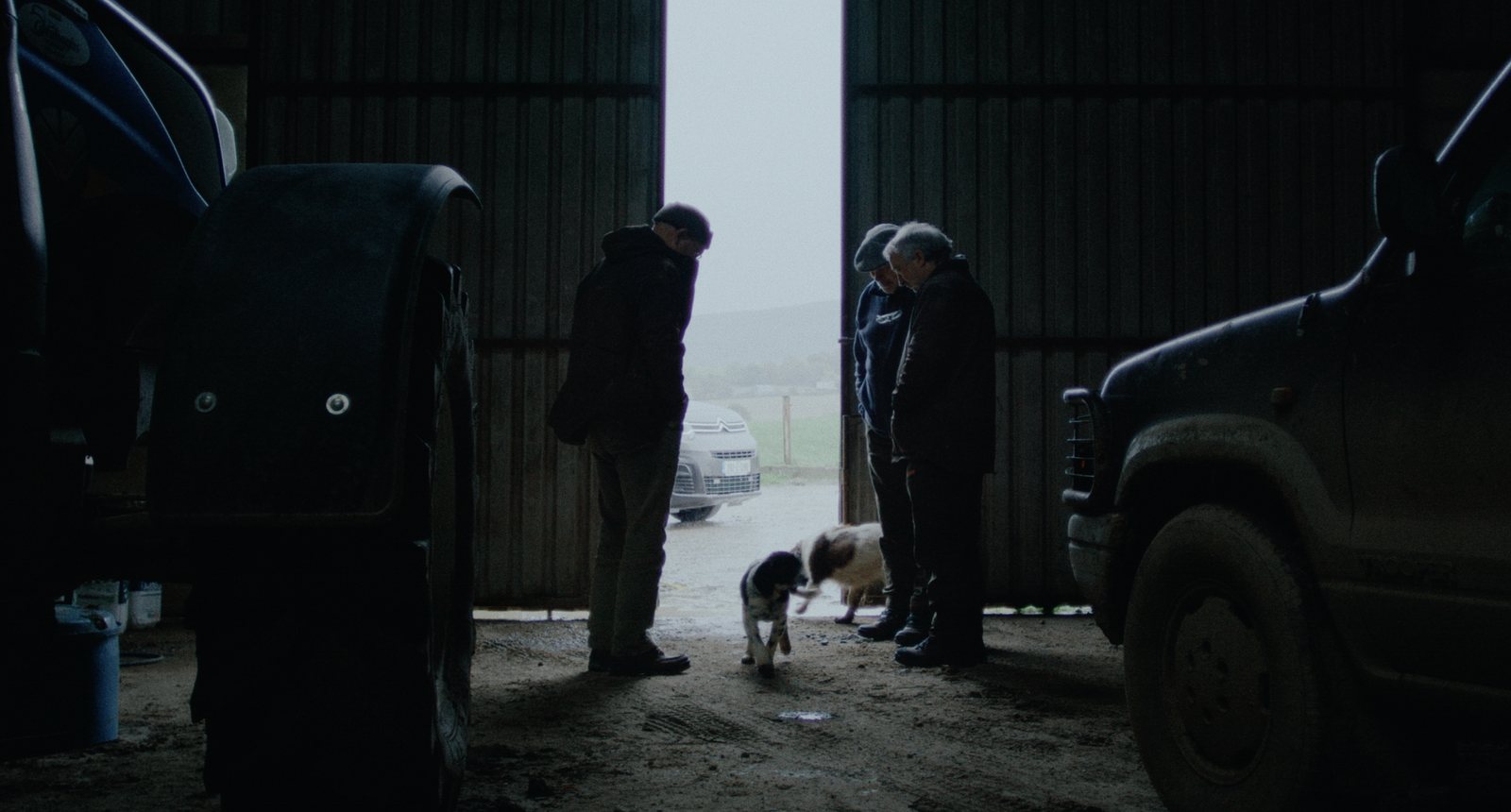 Frank and His Dogs still