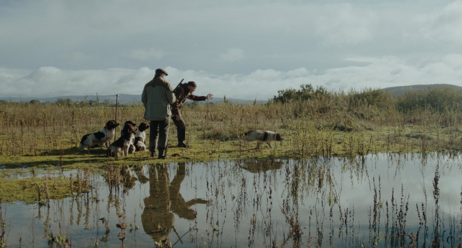 Frank and His Dogs still