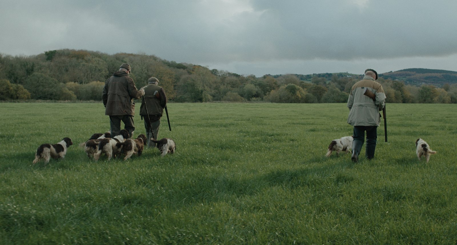 Frank and His Dogs still