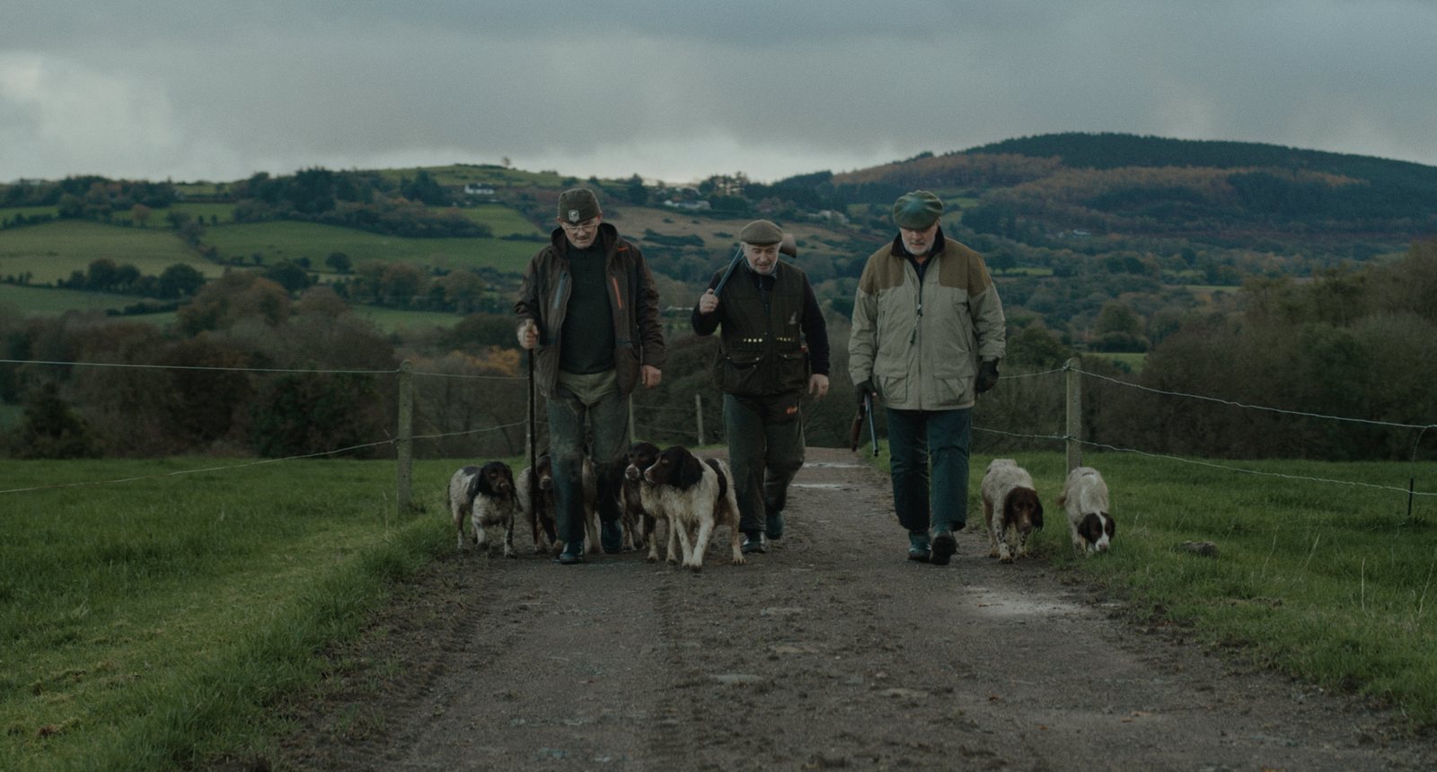 Frank and His Dogs still