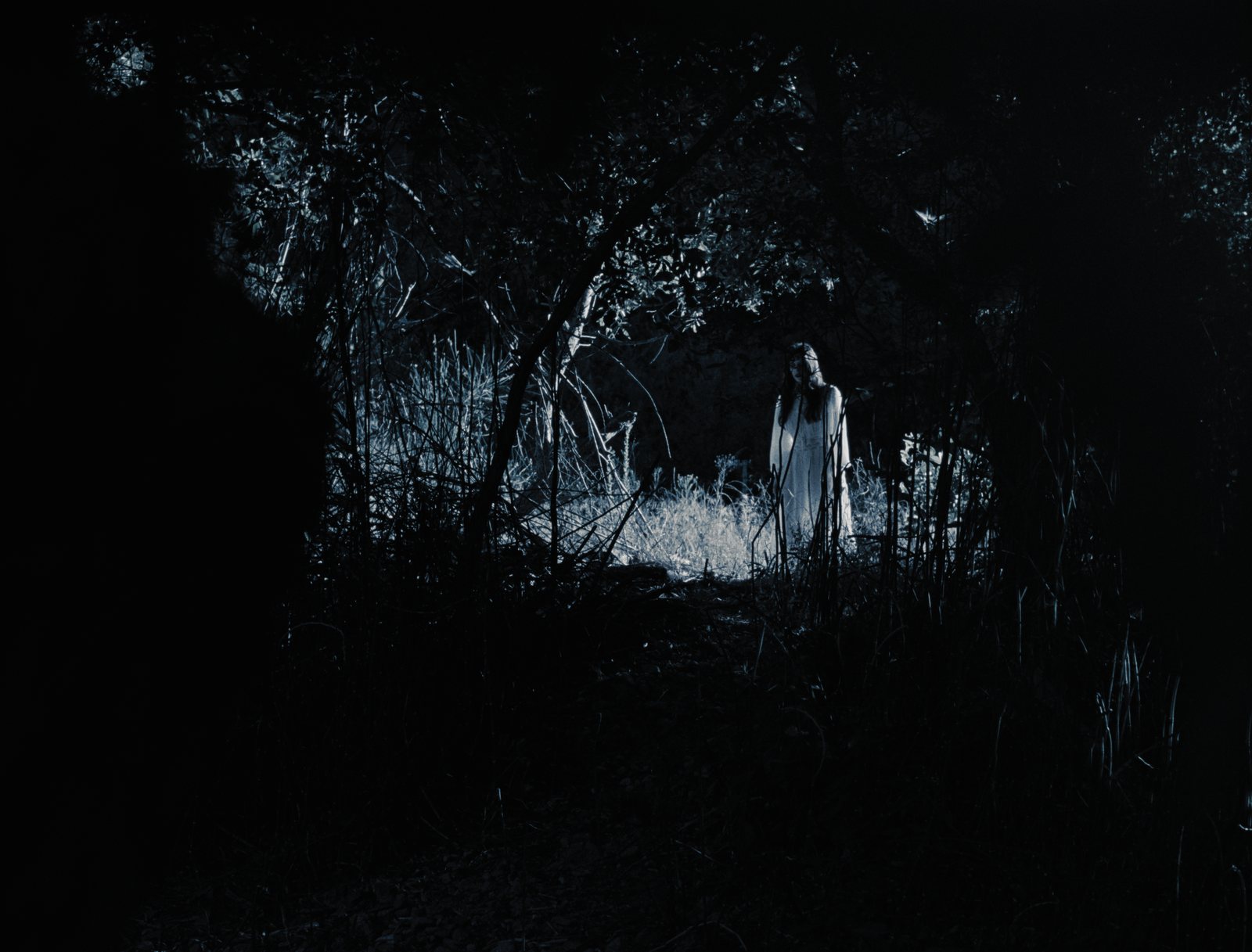 Ghosts of Tennessee still