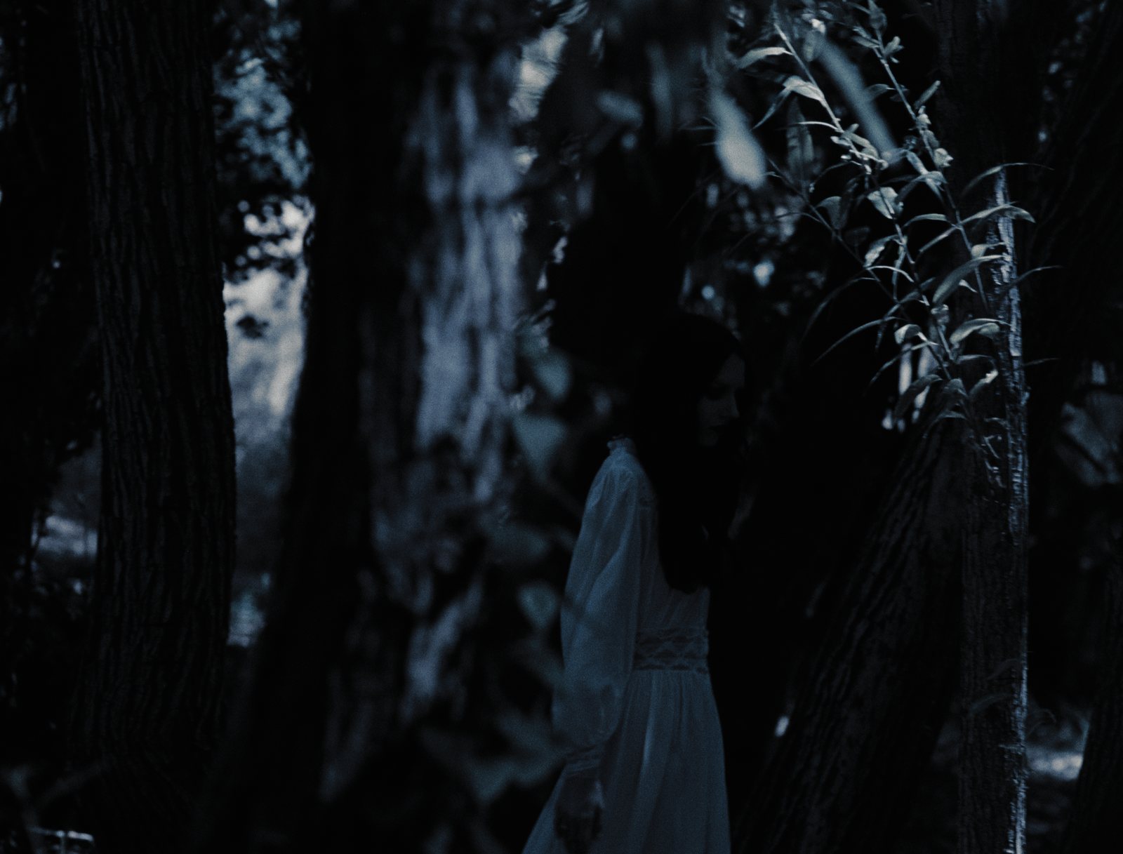 Ghosts of Tennessee still