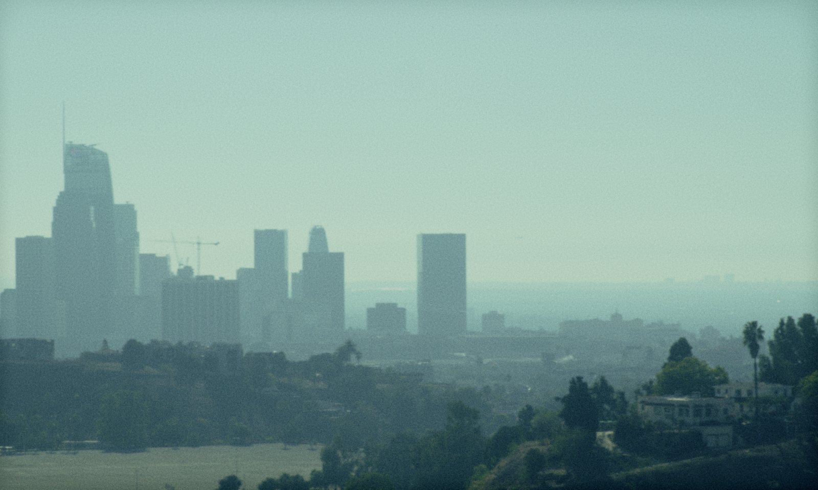 Los Angeles Out still