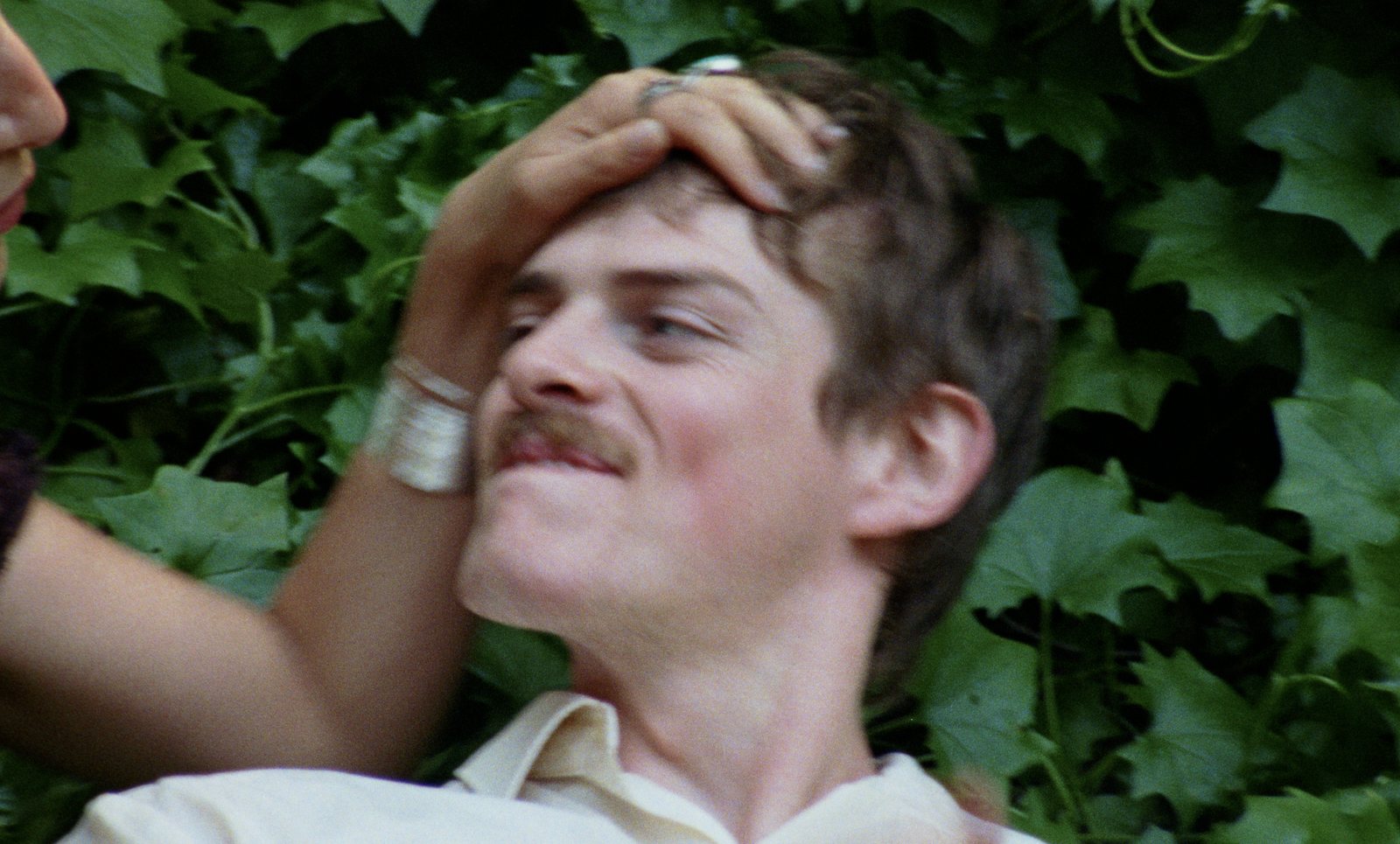 Plum still