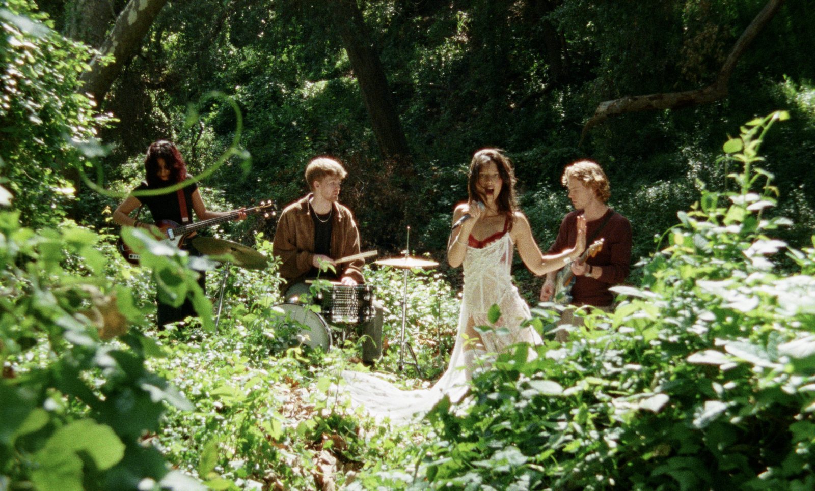 Plum still