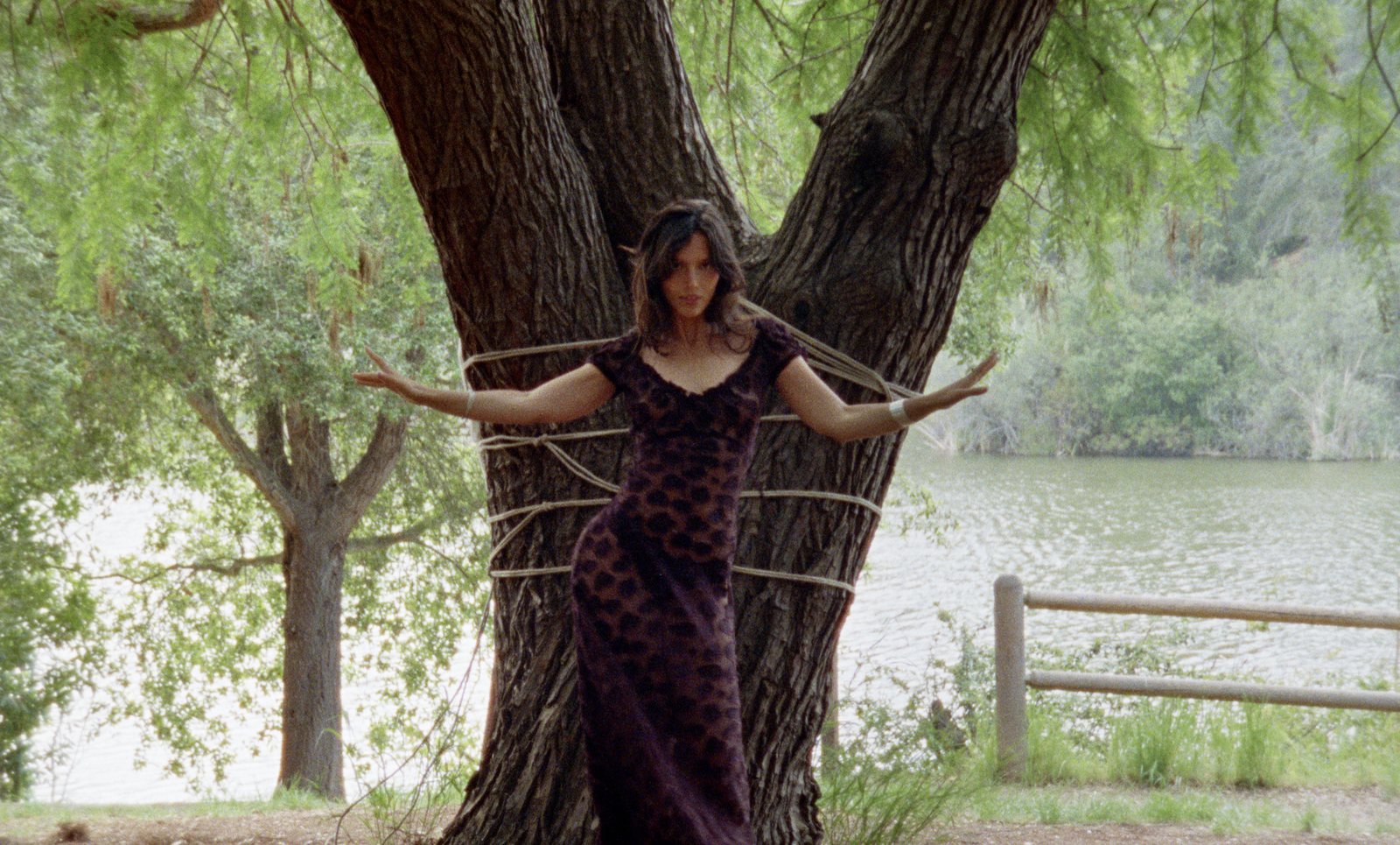 Plum still