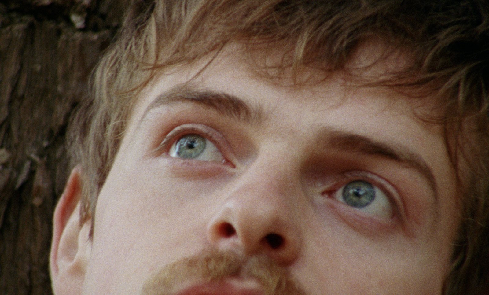 Plum still